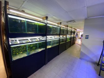 IMG_4279.JPG