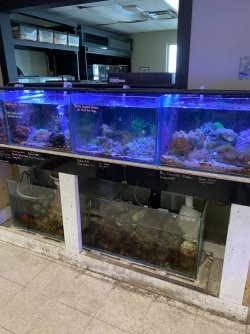 IMG_4280.JPG