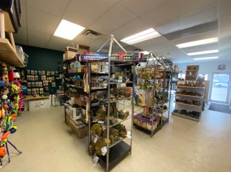 IMG_4331 2.JPG