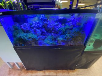 IMG_4337.JPG