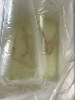 PHOTO-2026-03-17-01-19-39 2.jpg