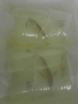 PHOTO-2026-03-17-01-19-40 2.jpg