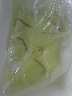 PHOTO-2026-03-17-01-19-40 3.jpg