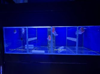 IMG_1483.JPG