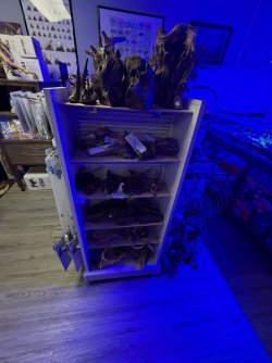 IMG_1667.JPG