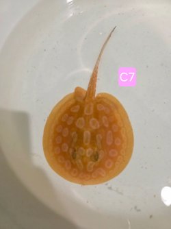 att.NPzBcIlxynIi8jBf5ryEmrDG0HA3KF0YOjuXFKFCllE.JPG