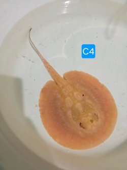 att.k-oJVXsWVhLnpANk9wvg2iQmrf6BOIkiHS8nwgdfyFc.JPG