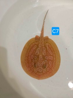 att.KAfQwHeS9icjJcDuCxeuqyNcTDRGMs894zhZCPX6_5k.JPG