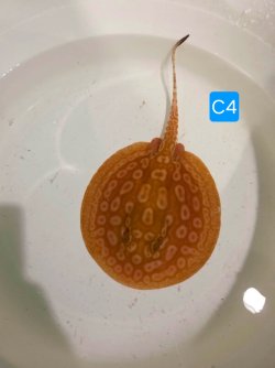 att.KOdarGXxCFze_kRh1IKzdvpJWQ9NkkoWWv8CUo5jzJ8.JPG