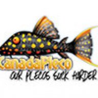 CanadaPleco