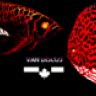 Vandiscus